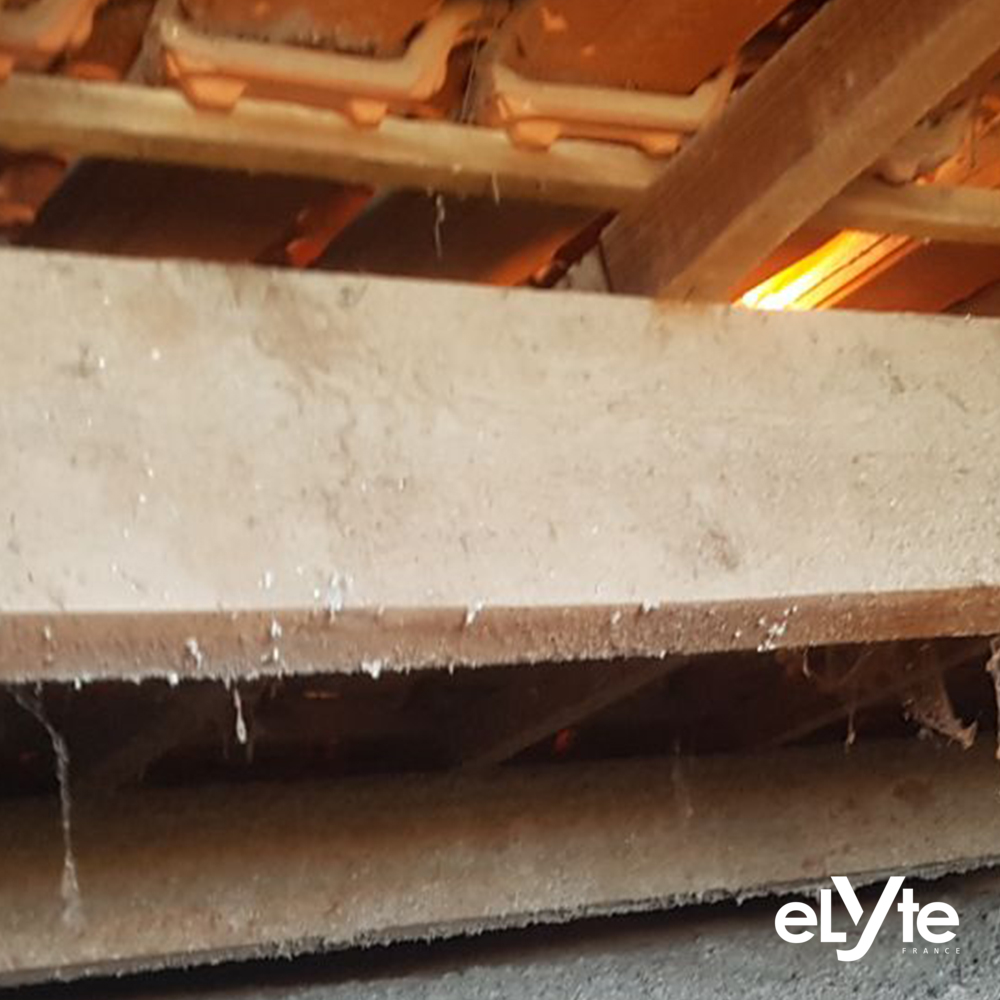 CHANTIER TRAITEMENT CHARPENTE