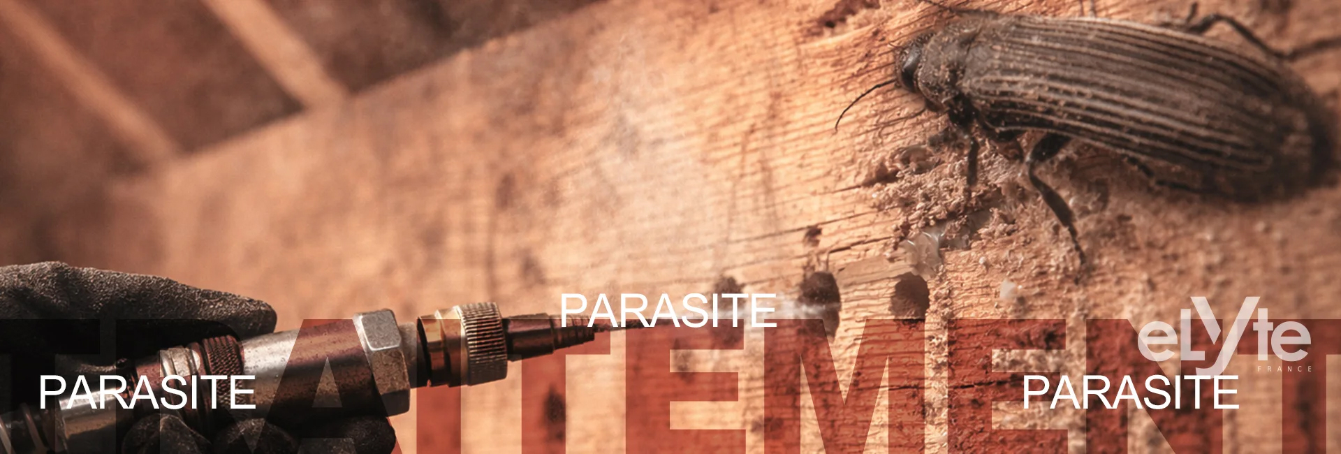 TRAITEMENT BOIS DE CHARPENTE PAR INJECTION