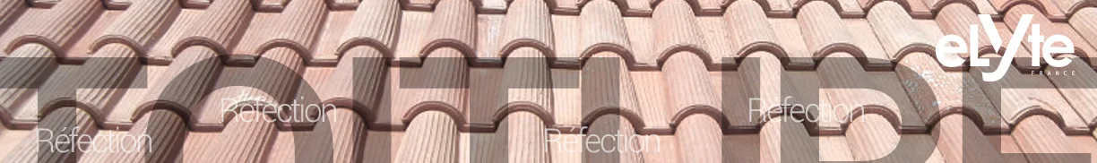 REFECTION TOITURE 6